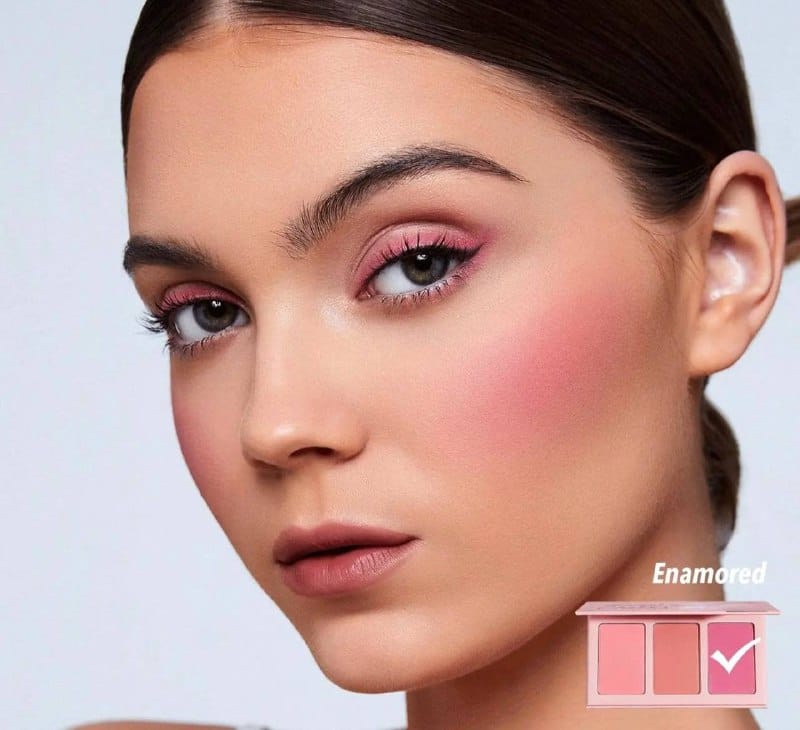 پالت رژگونه